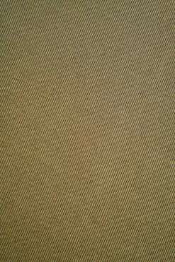 ROM Ruby Ruched Crop Top- Sage Two Piece Sets