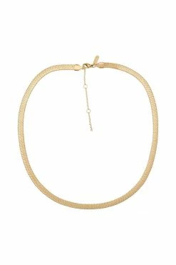 ZNY All Accessories Nour 14K Gold Plated Snake Chain Gold Plated Necklace - Gold
