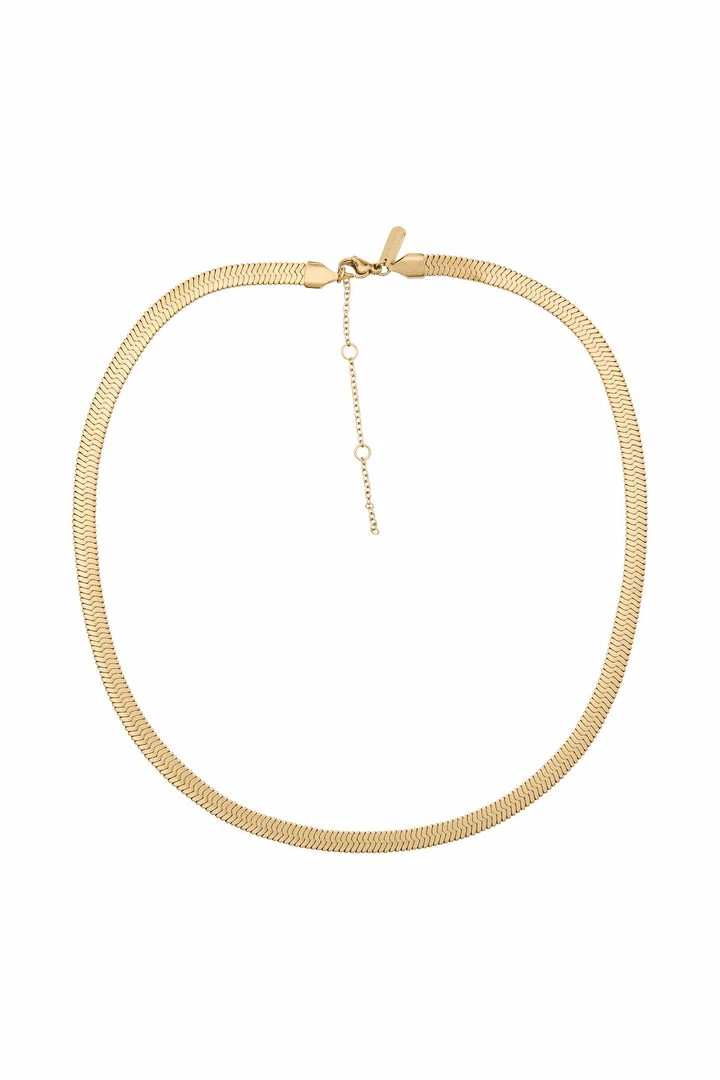 ZNY All Accessories Nour 14K Gold Plated Snake Chain Gold Plated Necklace - Gold 1 ZNY All Accessories Nour 14K Gold Plated Snake Chain Gold Plated Necklace - Gold