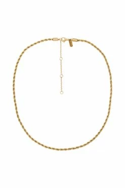 ZNY All Accessories Haisley 14K Gold Plated Twisted Small Chain Necklace - Gold