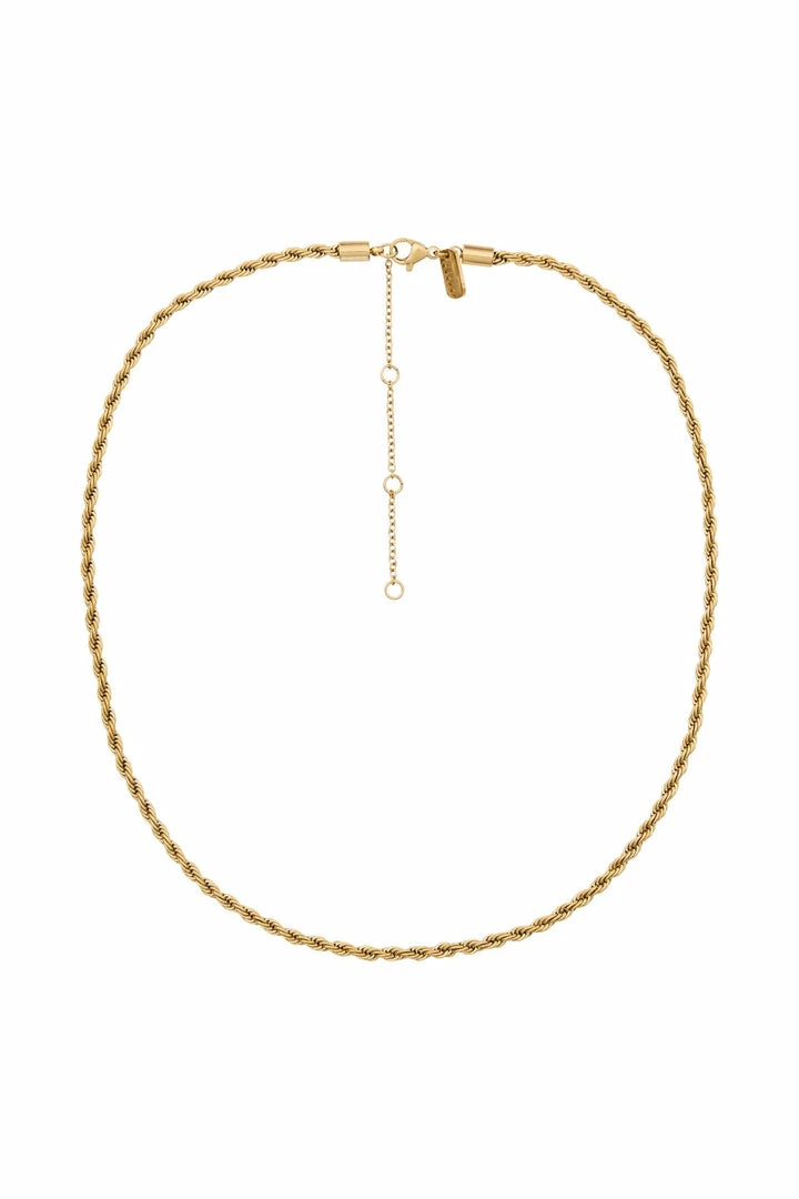 ZNY All Accessories Haisley 14K Gold Plated Twisted Small Chain Necklace - Gold 1 ZNY All Accessories Haisley 14K Gold Plated Twisted Small Chain Necklace - Gold