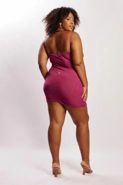 BSD Mapel Panelled Mesh Mini Dress - Violet